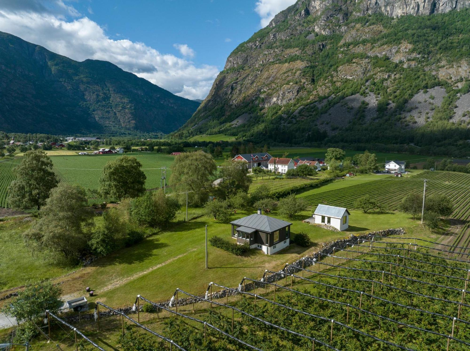 Jordeplegarden Holiday Home - Part Of A Farm - Two Buildings - Close To Flam Laerdalsoyri Exterior photo