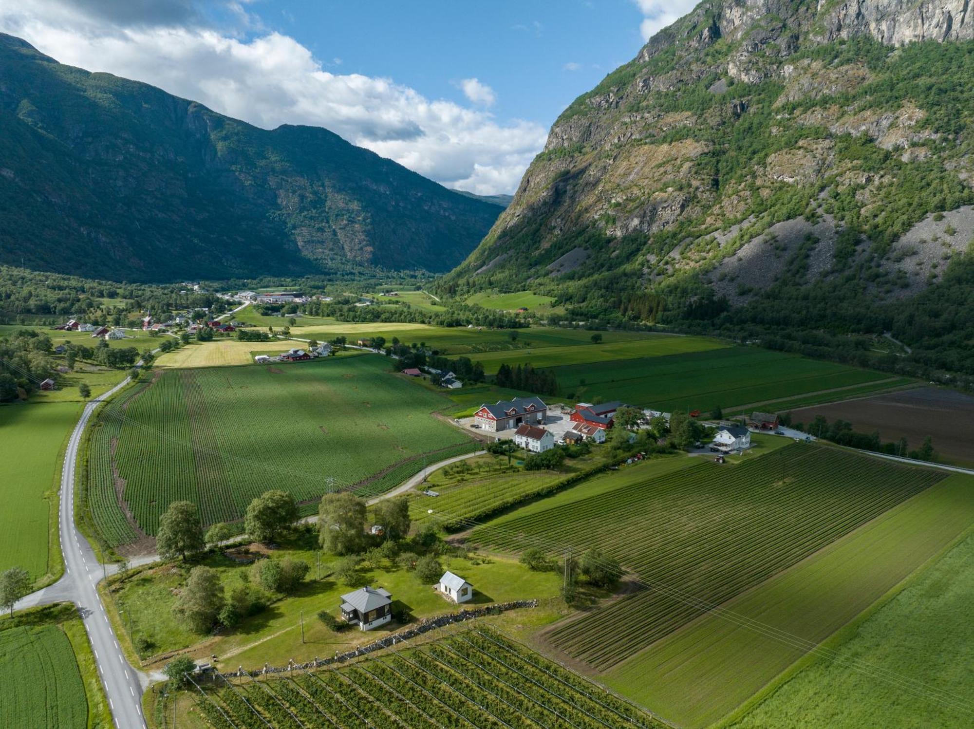 Jordeplegarden Holiday Home - Part Of A Farm - Two Buildings - Close To Flam Laerdalsoyri Exterior photo